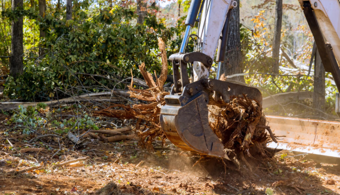 Excavator digging up tree roots